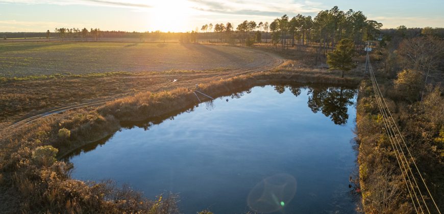 Kinchafoonee Creek Irrigated Farm