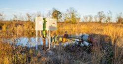 Kinchafoonee Creek Irrigated Farm