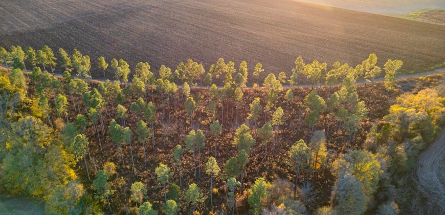 Kinchafoonee Creek Irrigated Farm