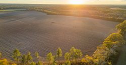 Kinchafoonee Creek Irrigated Farm