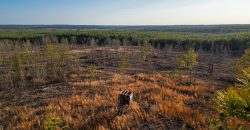 Oglethorpe County Macks Creek Tract 1