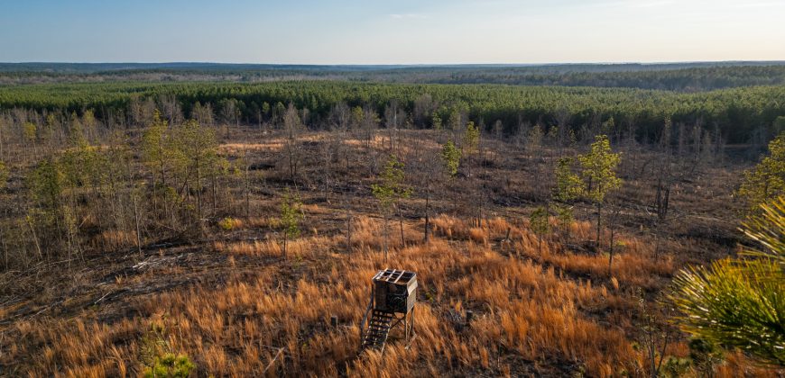 Oglethorpe County Macks Creek Tract 1