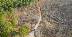 Oglethorpe County Macks Creek Tract 1