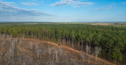 Oglethorpe County Macks Creek Tract 1