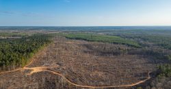 Oglethorpe County Macks Creek Tract 1