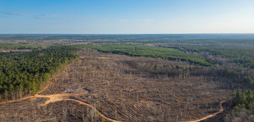 Oglethorpe County Macks Creek Tract 1