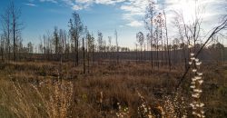 Oglethorpe County Macks Creek Tract 1