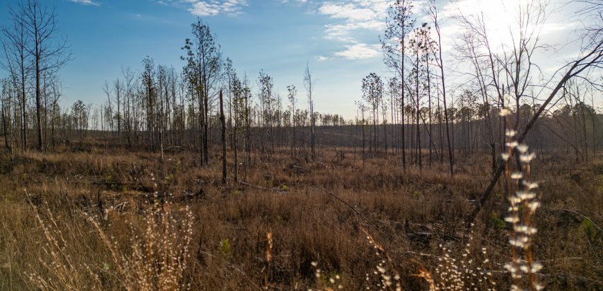 Oglethorpe County Macks Creek Tract 1