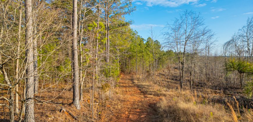 Oglethorpe County Macks Creek Tract 1