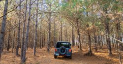 Oglethorpe County Macks Creek Tract 1