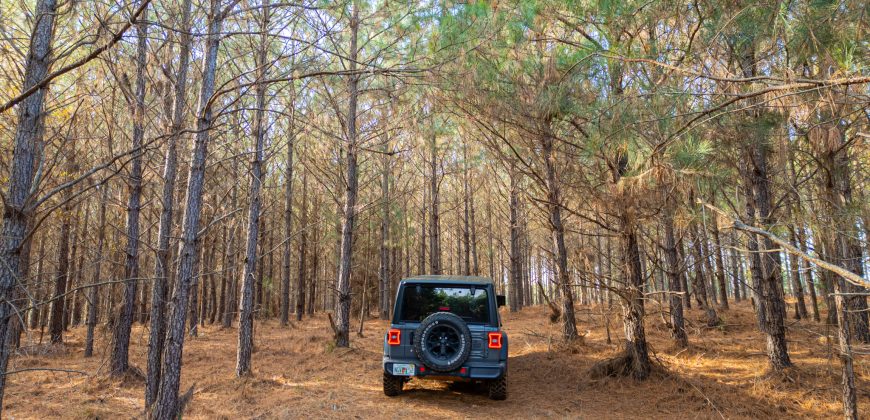 Oglethorpe County Macks Creek Tract 1