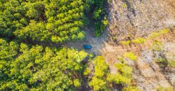 Oglethorpe County Macks Creek Tract 1