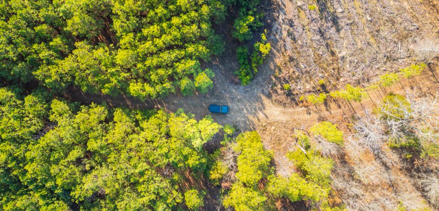 Oglethorpe County Macks Creek Tract 1