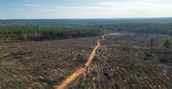 Oglethorpe County Macks Creek Tract 1