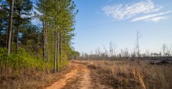 Oglethorpe County Macks Creek Tract 1