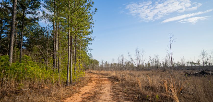 Oglethorpe County Macks Creek Tract 1
