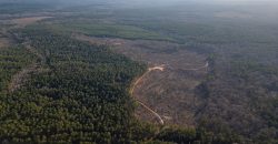 Oglethorpe County Macks Creek Tract 1