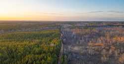 Oglethorpe County Macks Creek Tract 1