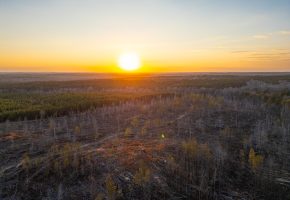 Oglethorpe County Macks Creek Tract 1