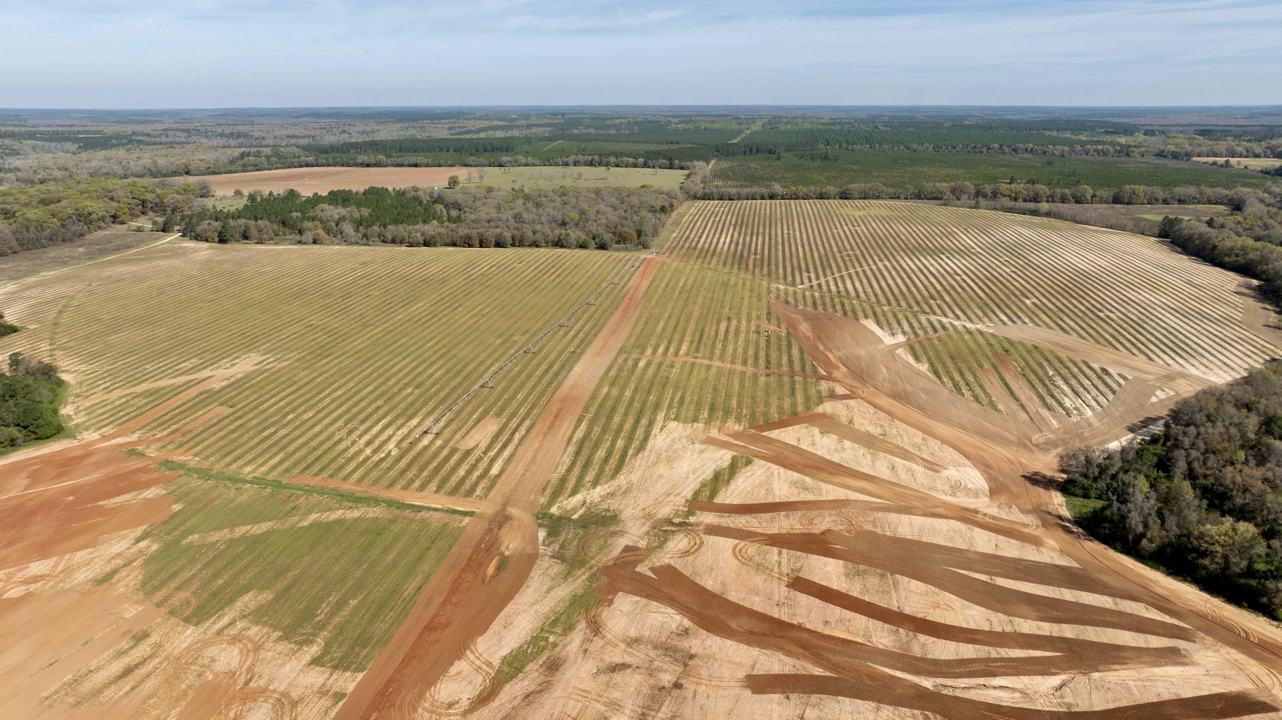 Little Ichawaynochaway Corridor Farm
