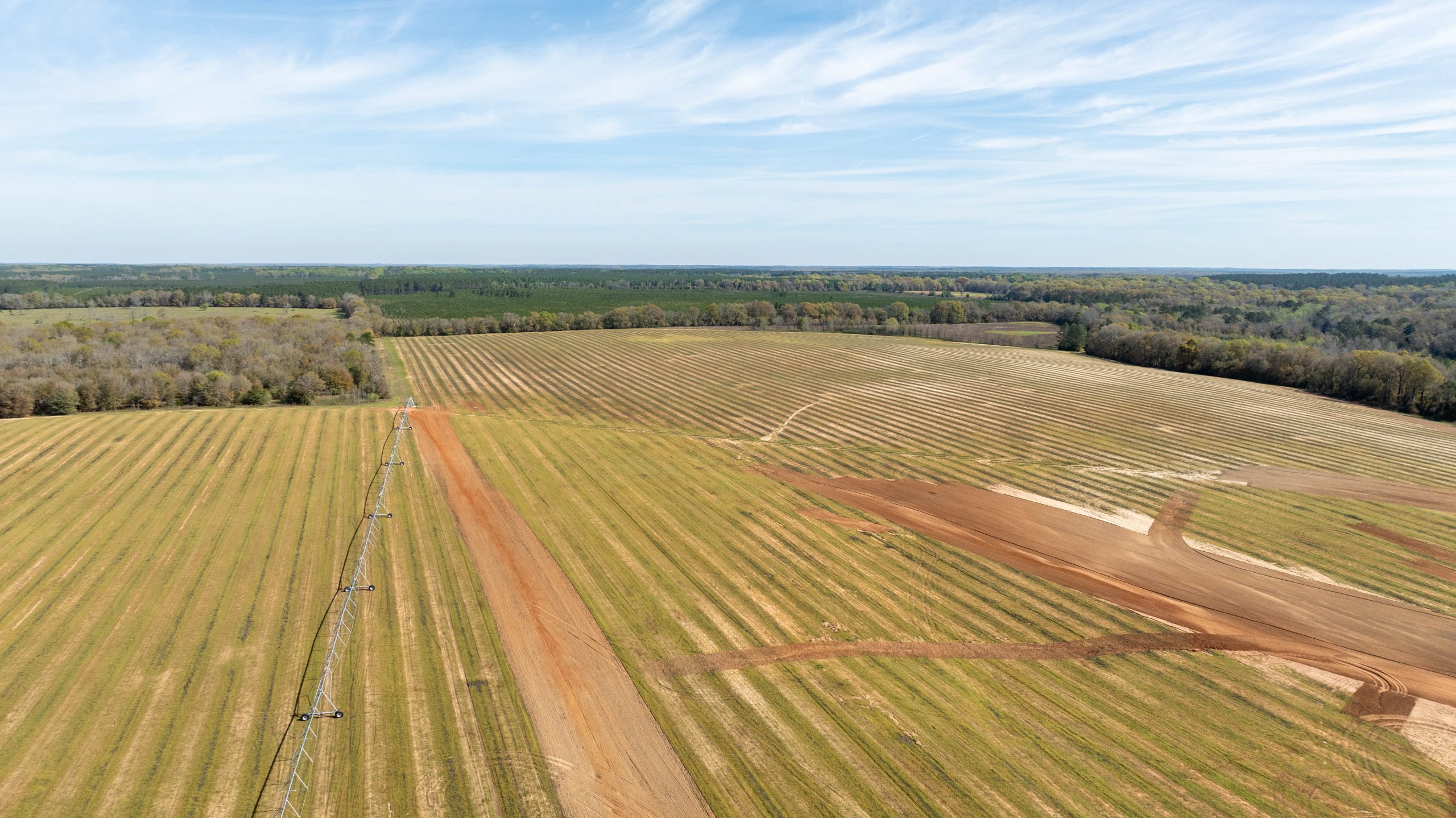 Little Ichawaynochaway Corridor Farm