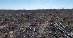Laurens County Whitewater CreeK Farm