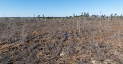 Laurens County Whitewater CreeK Farm