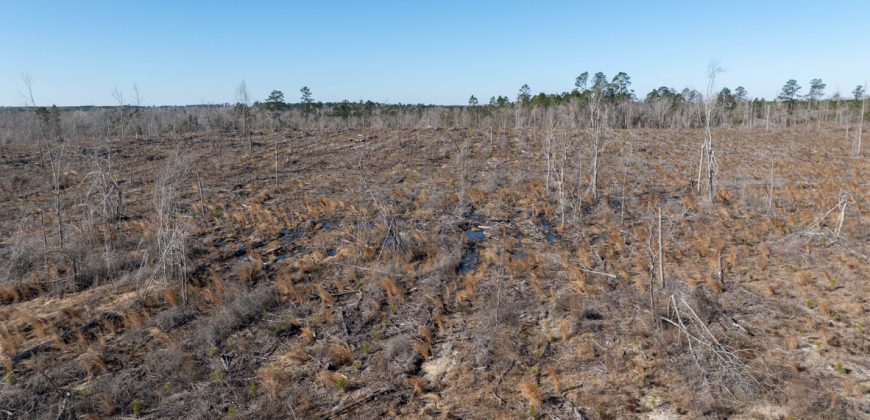 Laurens County Whitewater CreeK Farm
