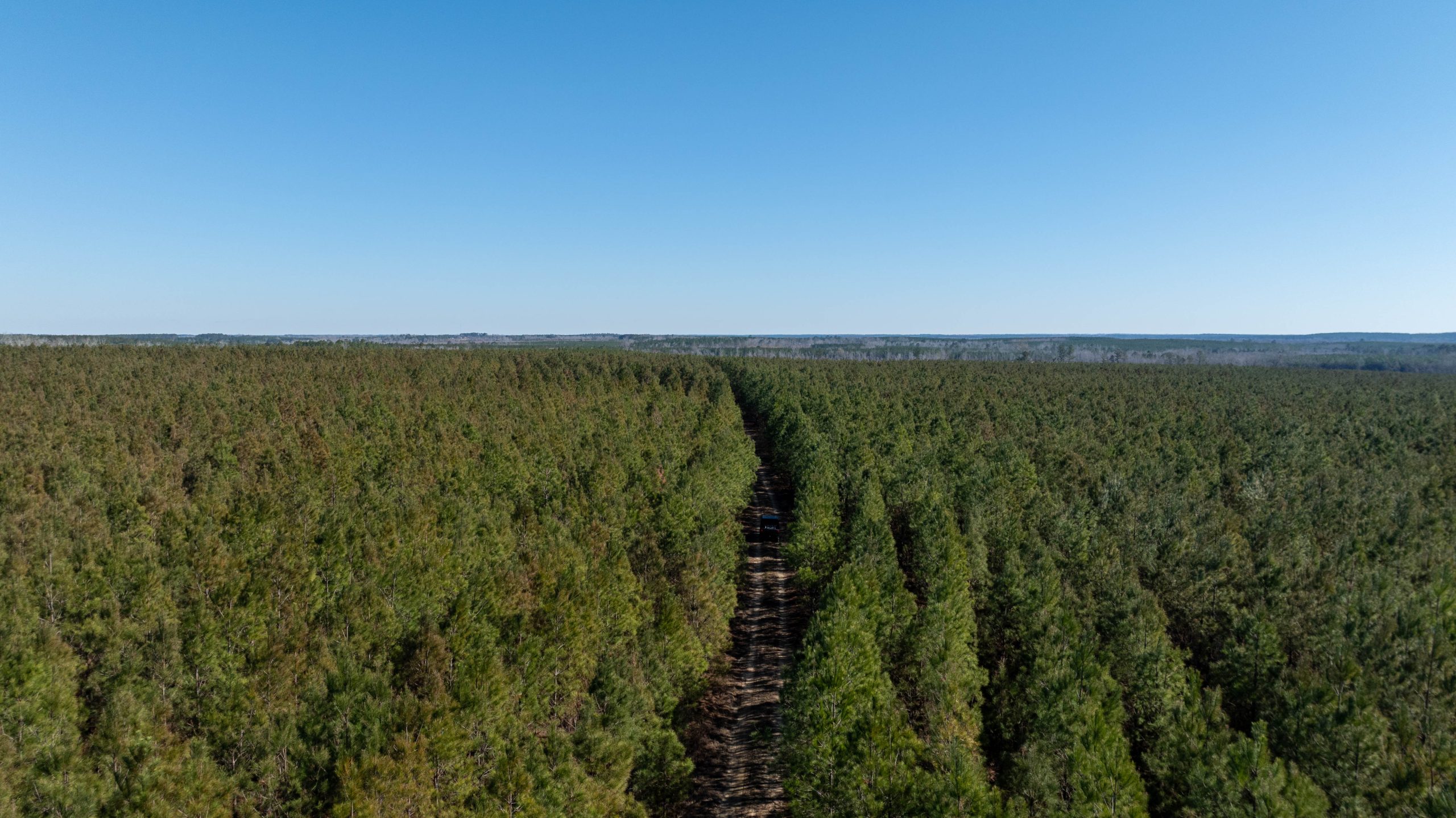 Laurens County Whitewater CreeK Farm