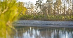 Dodge County Sanctuary