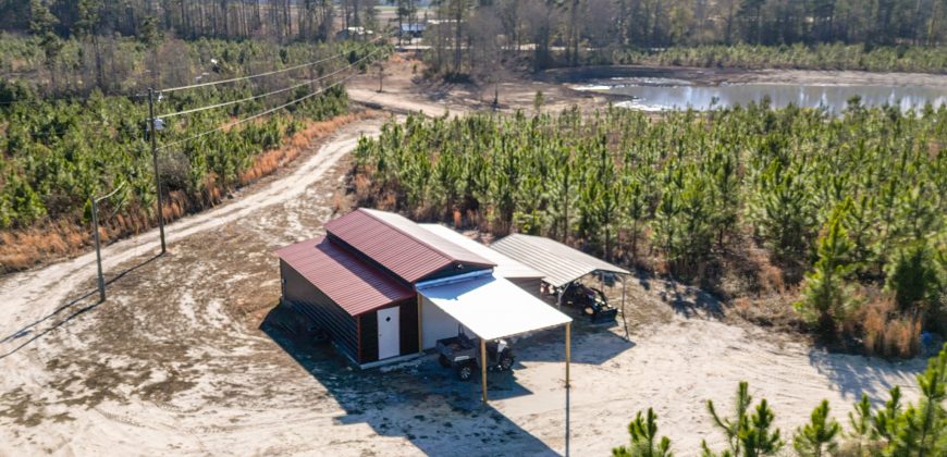 Dodge County Sanctuary