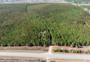 Laurens County Whitewater CreeK Farm