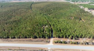 Laurens County Whitewater CreeK Farm