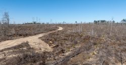 Laurens County Whitewater CreeK Farm