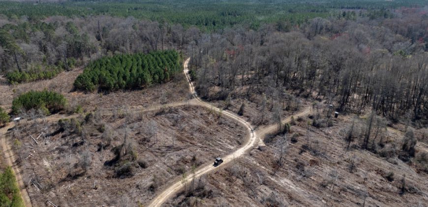 Wilcox Olcmulgee River Corridor Farm