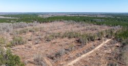 Wilcox Olcmulgee River Corridor Farm