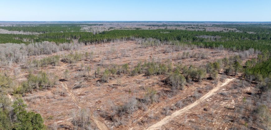 Wilcox Olcmulgee River Corridor Farm