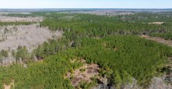 Wilcox Olcmulgee River Corridor Farm