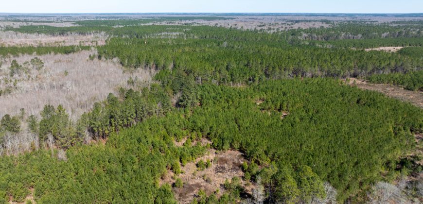Wilcox Olcmulgee River Corridor Farm