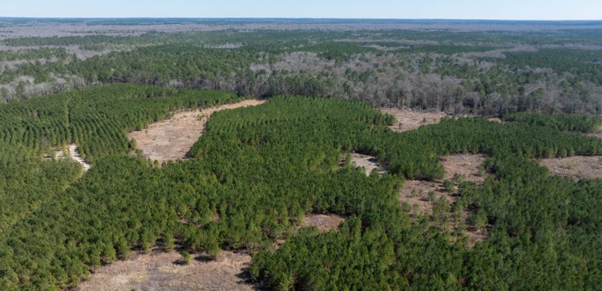 Wilcox Olcmulgee River Corridor Farm