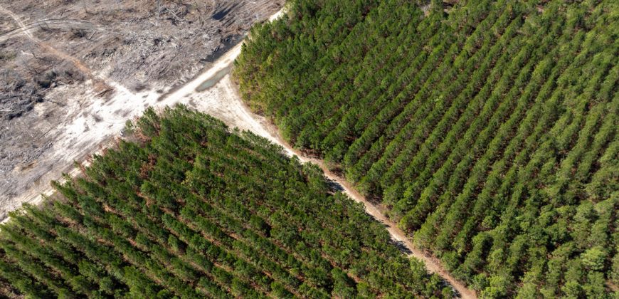 Wilcox Olcmulgee River Corridor Farm