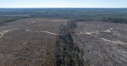 Laurens County Whitewater CreeK Farm