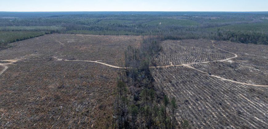 Laurens County Whitewater CreeK Farm