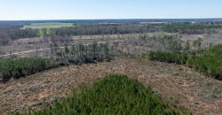 Wilcox Olcmulgee River Corridor Farm