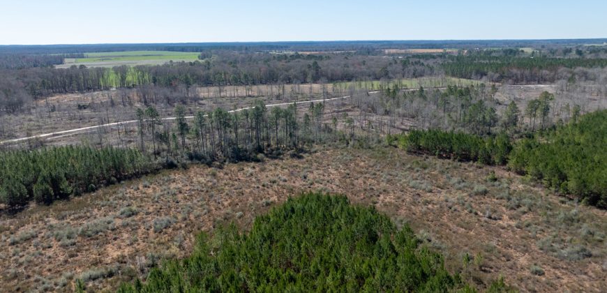 Wilcox Olcmulgee River Corridor Farm