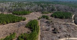 Wilcox Olcmulgee River Corridor Farm