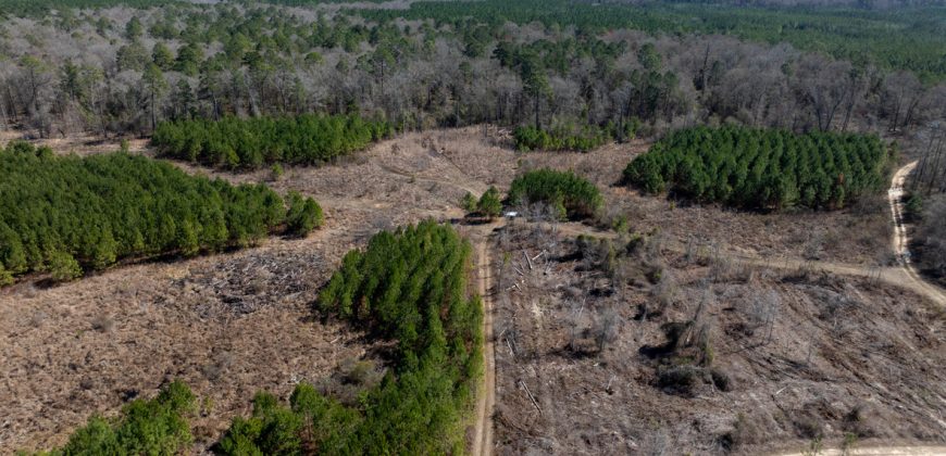 Wilcox Olcmulgee River Corridor Farm
