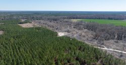 Wilcox Olcmulgee River Corridor Farm