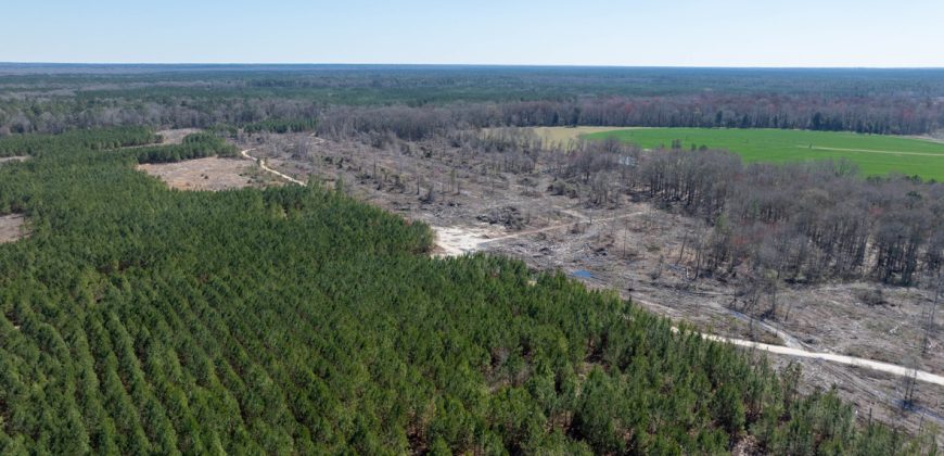 Wilcox Olcmulgee River Corridor Farm