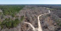 Wilcox Olcmulgee River Corridor Farm